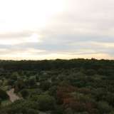 Da qui riusciamo ad avere una visuale complessiva del bosco...
